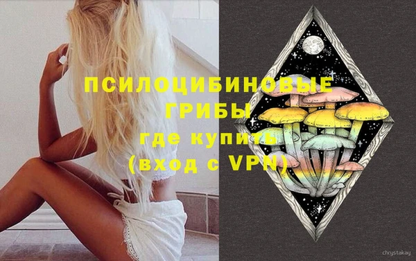 spice Алексин