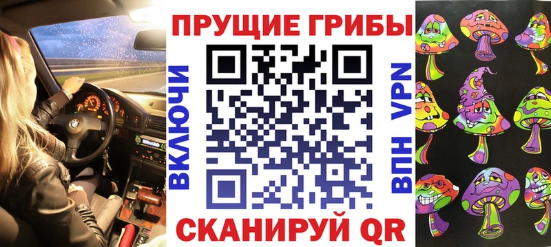 Галлюциногенные грибы Psilocybine cubensis Оленегорск